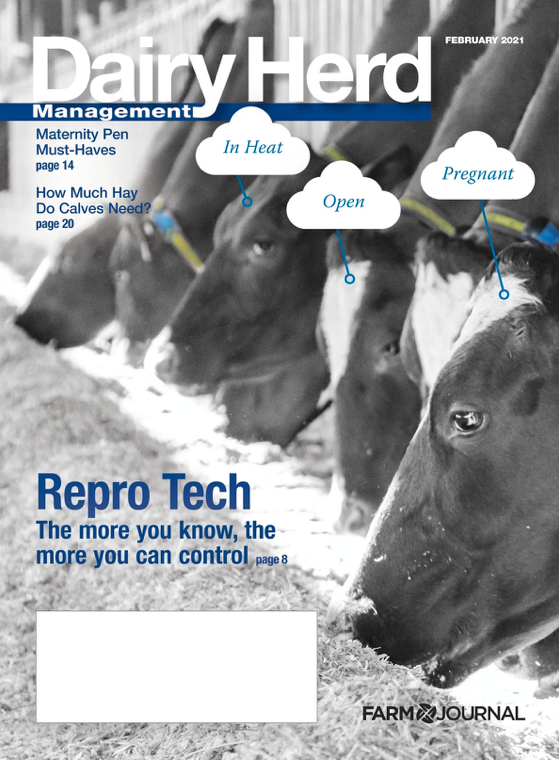 February 2021 Dairy Herd Management | Dairy Herd